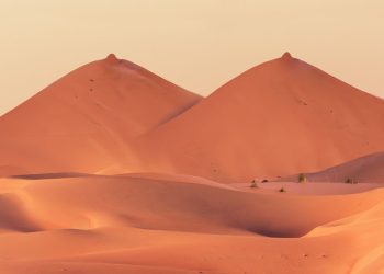 These Are the Best Products to Use for Dry Nipples, According to Experts