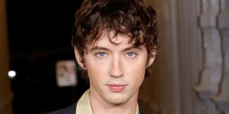 The Algorithm Has Troye Sivan Contemplating Plastic Surgery