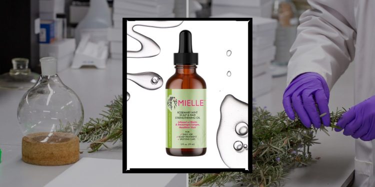 Mielle Organics Is Updating Its Rosemary Mint Products